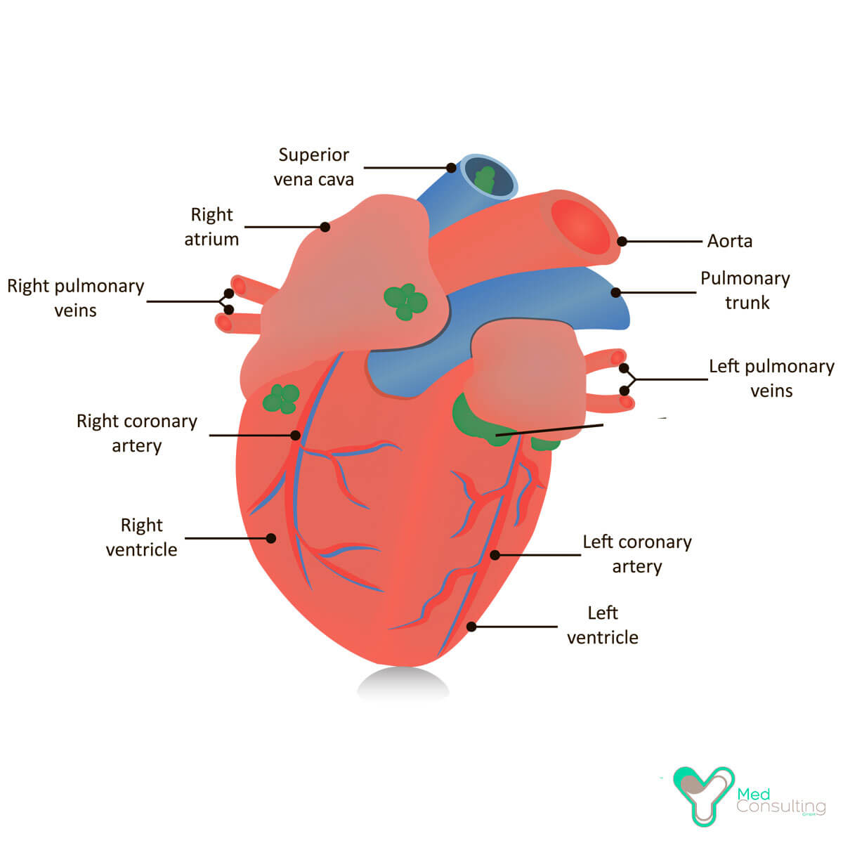 Имплантация кардиостимулятора в Германии - в лучших клиниках : YY  MedConsulting GmbH